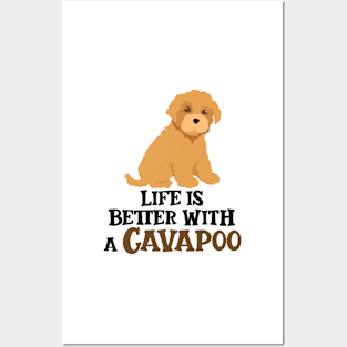 Life is Better With A Cavapoo Posters and Art